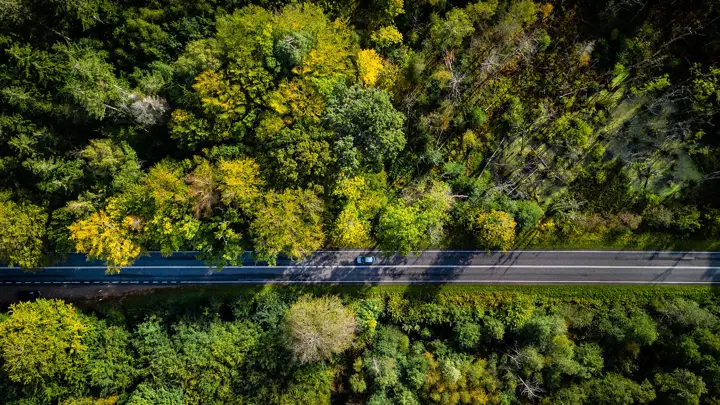 Skov set oppefra med grønne træer og en vej