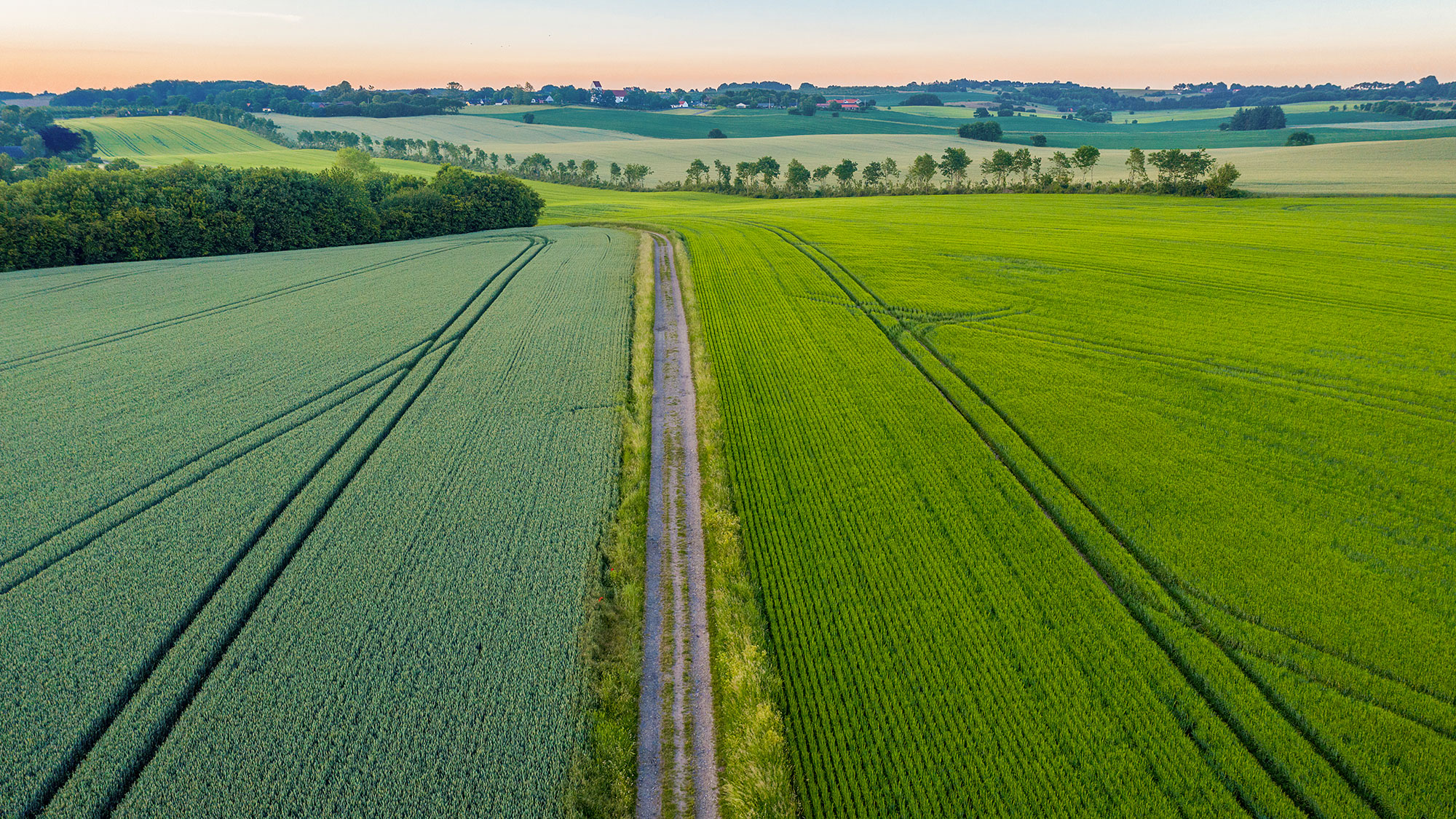 En vej bryder to marker