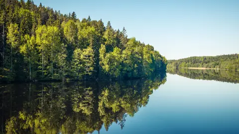 Vand-Skov-Natur