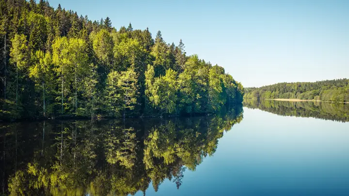 Vand-Skov-Natur
