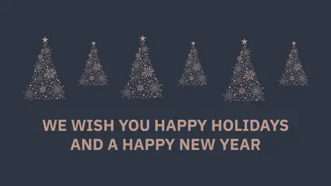 Graphic with the text: We wish you Happy Holidays and a Happy New Year.
