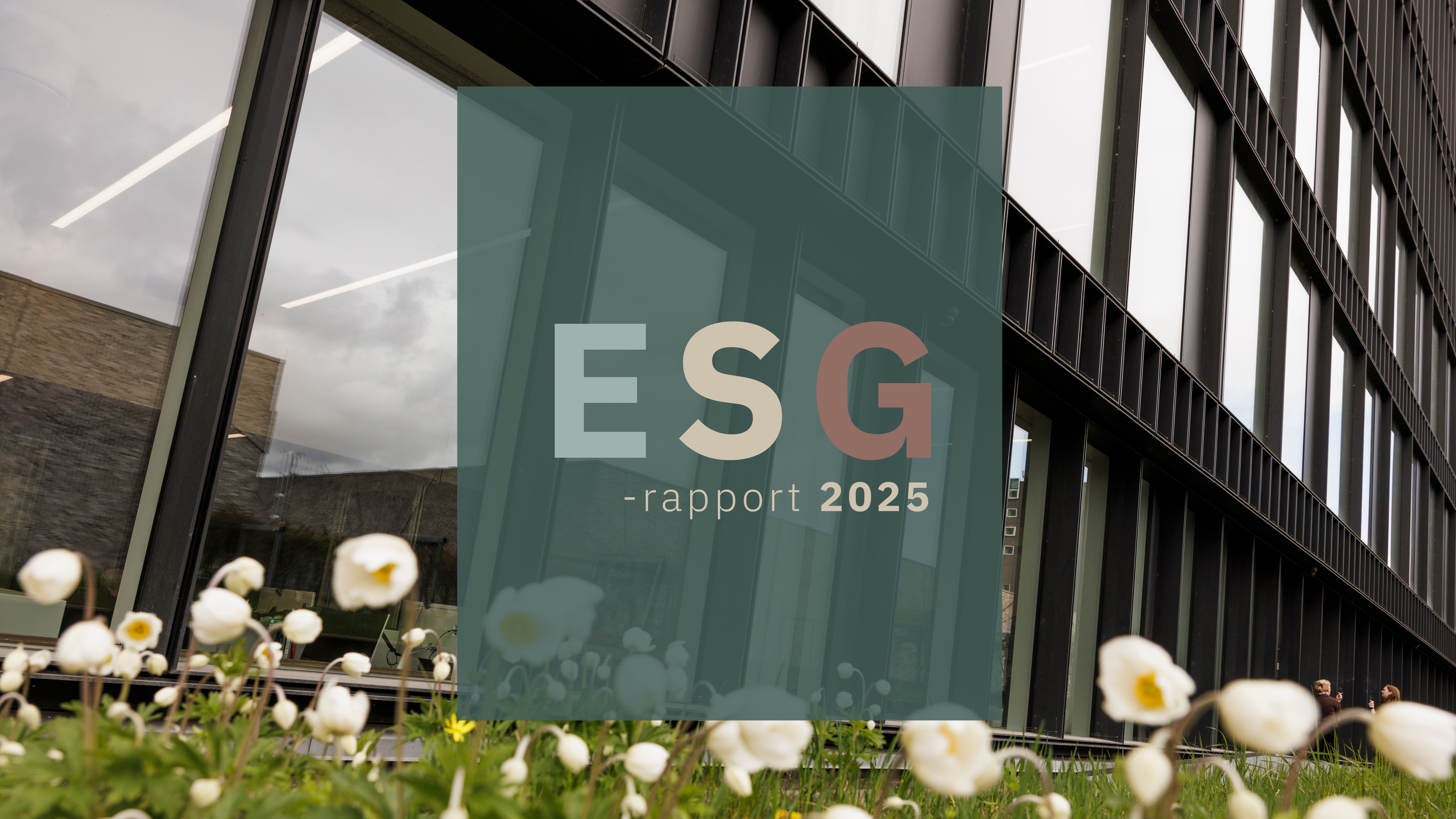 undefined ESG-rapport 2025