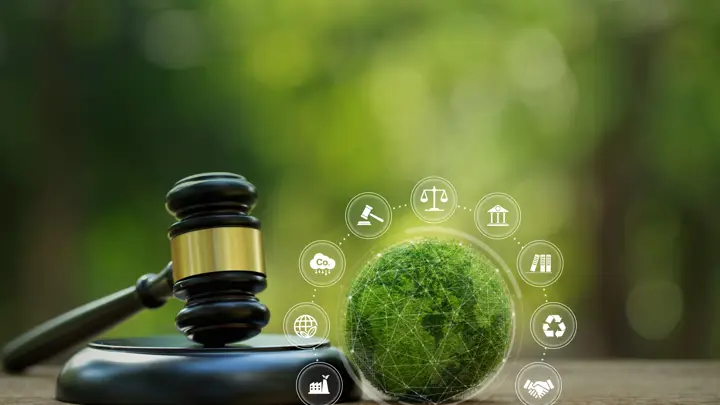 billede af den juridisk hammer, der slår en dom fast, med en grøn verden ved siden af